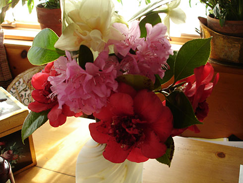 vase flowers