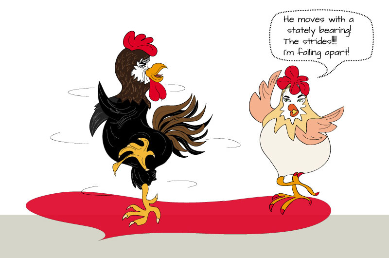 rooster cartoon dancing