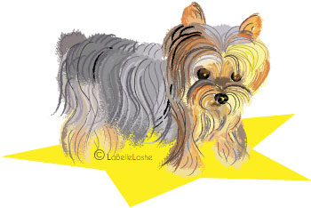 graphic design of a yorkie